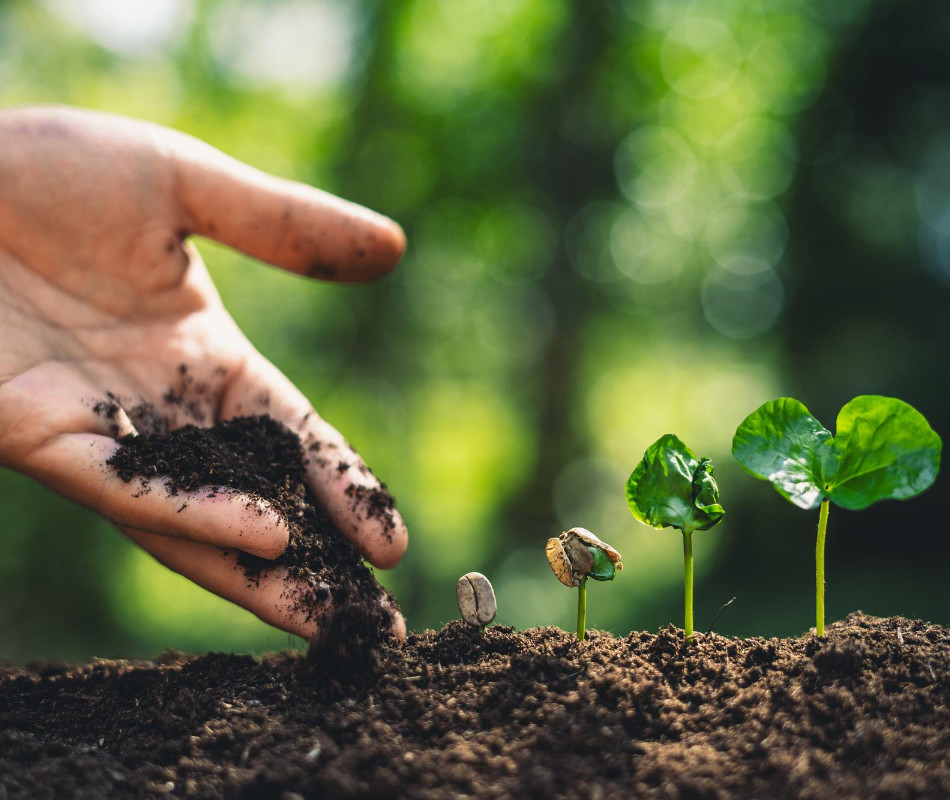 fertilizacion-agroinca-002