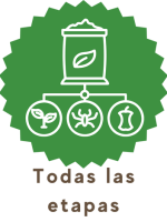 imgi_40_todas-las-etapas