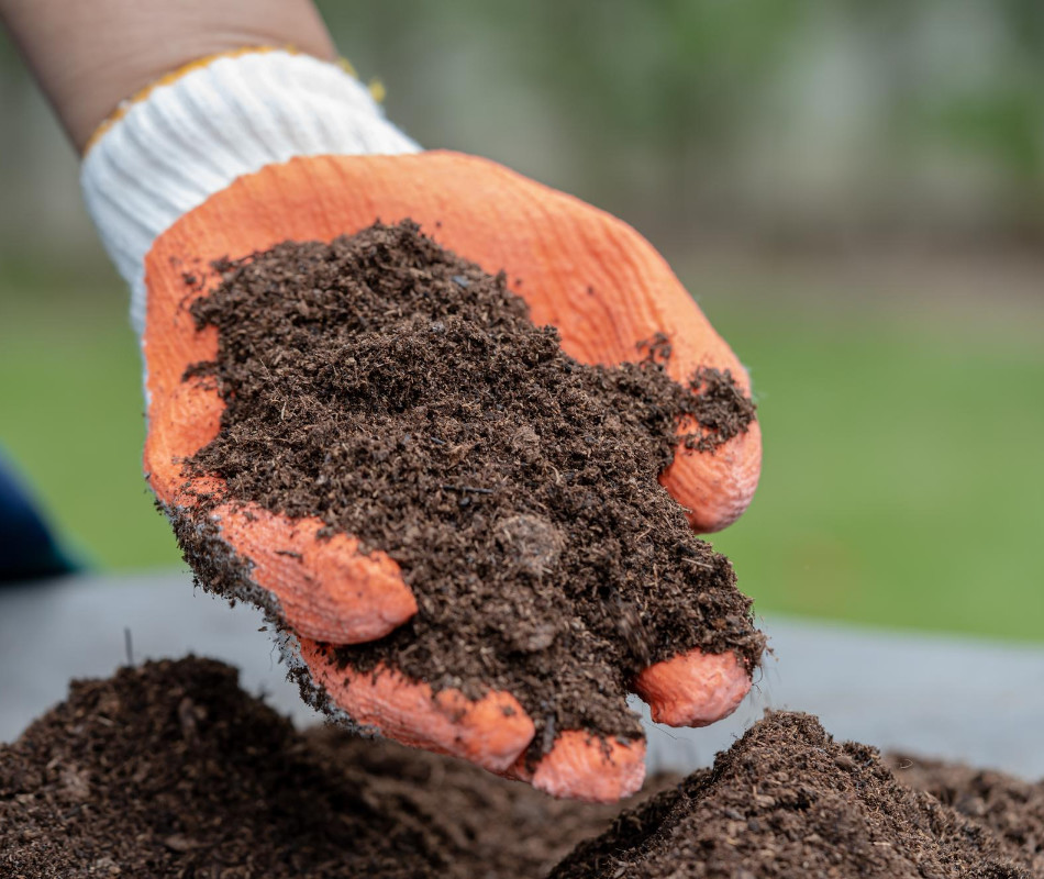 maquila-fertilizantes-001