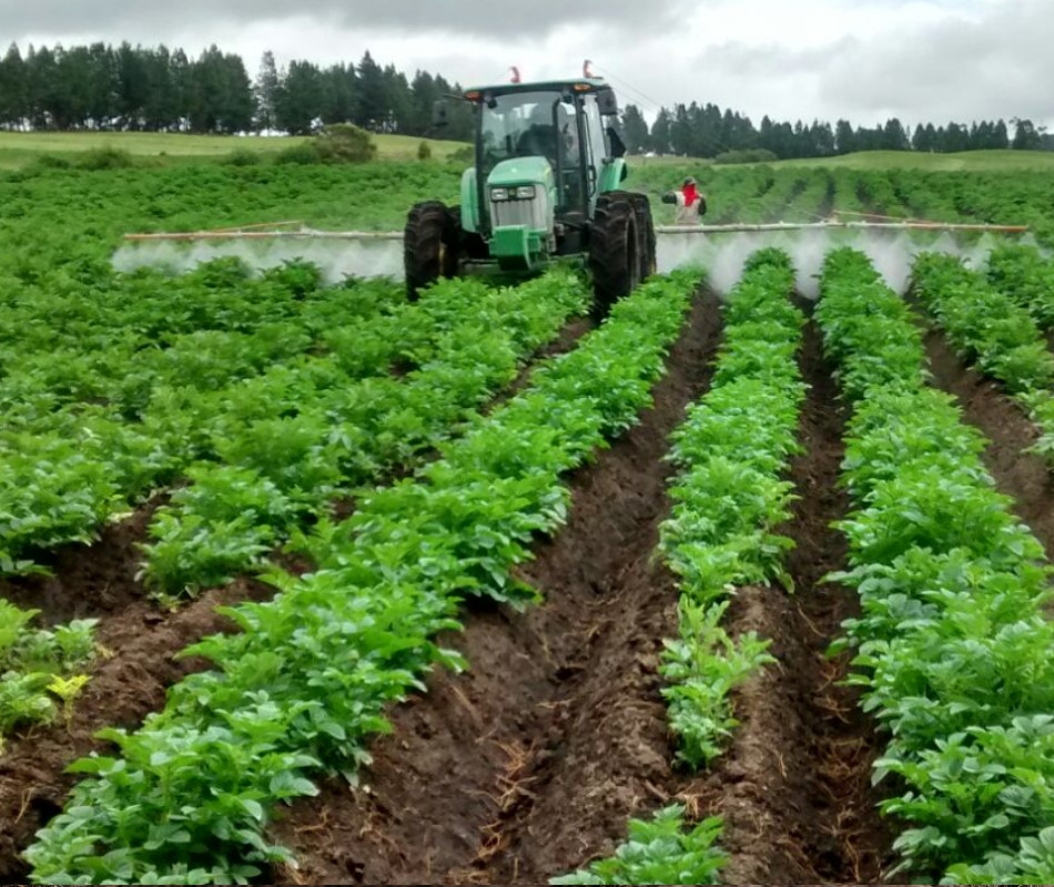 maquila-fertilizantes-002